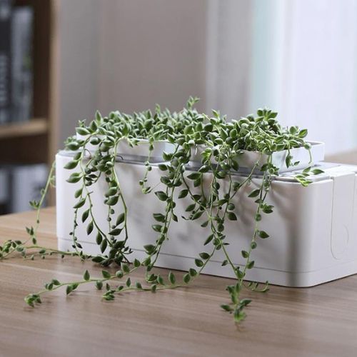 Smart Cordless Hydroponics Garden - Herboponics - Cutting Edge Hydroponics Setup For Everyone