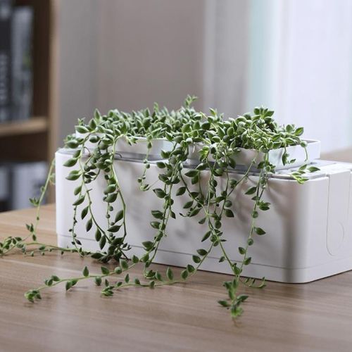 Smart Cordless Hydroponics Garden - Herboponics - Cutting Edge Hydroponics Setup For Everyone