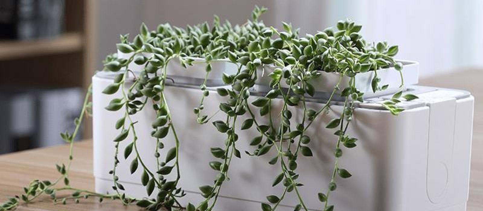 Smart Cordless Hydroponics Garden - Herboponics - Cutting Edge Hydroponics Setup For Everyone