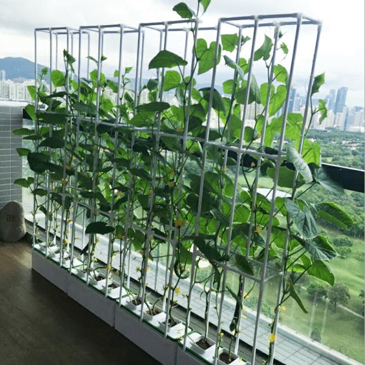 Smart Wire-Frame Hydroponics Garden - Herboponics - Cutting Edge Hydroponics Setup For Everyone