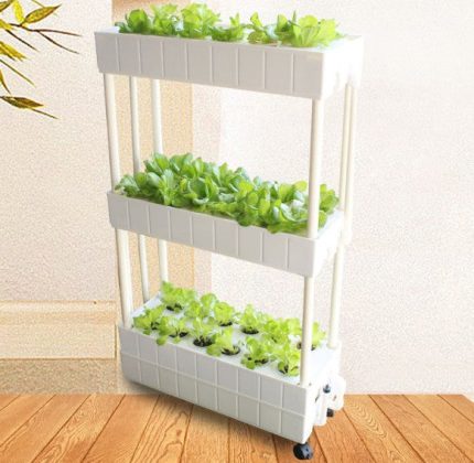 Smart Hydroponics Garden - Movable Wall - Herboponics - Cutting Edge Hydroponics Setup For Everyone